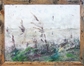 migla1